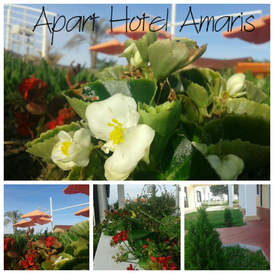 Apart Amaris * Concordia